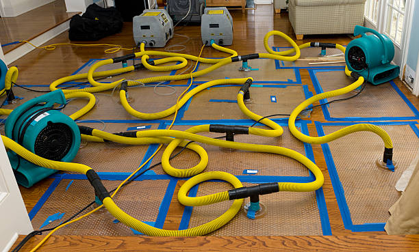 Professional Water Extraction technician working in Oakland, NJ
